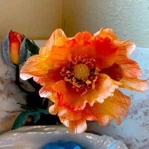 Meet your Posher, Kristie